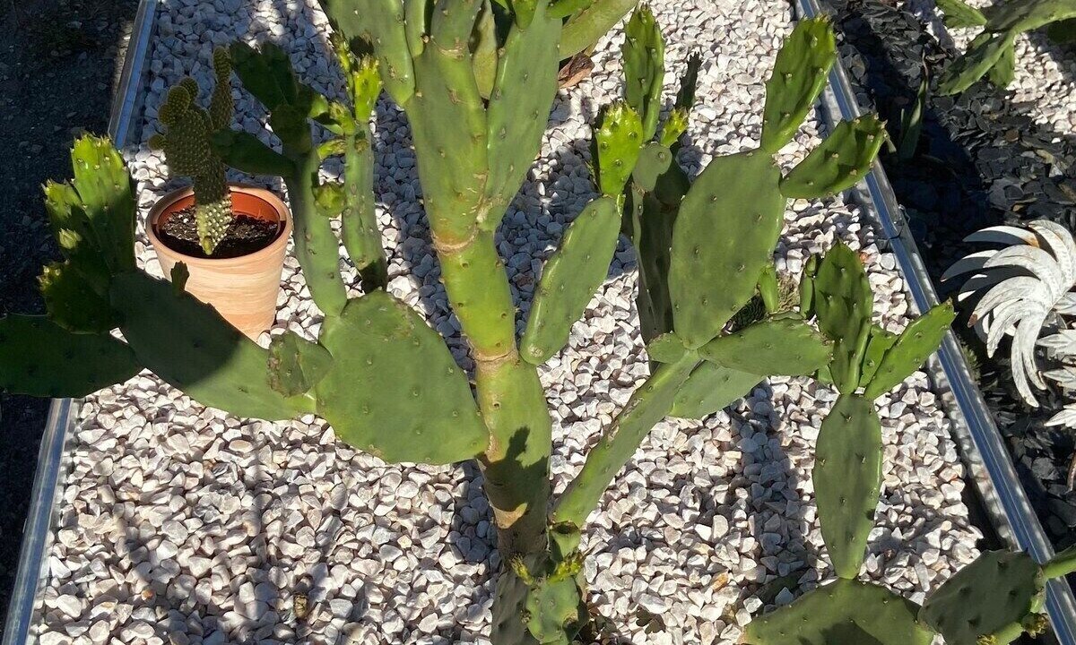 Photo of Outdoor in Beauvoir