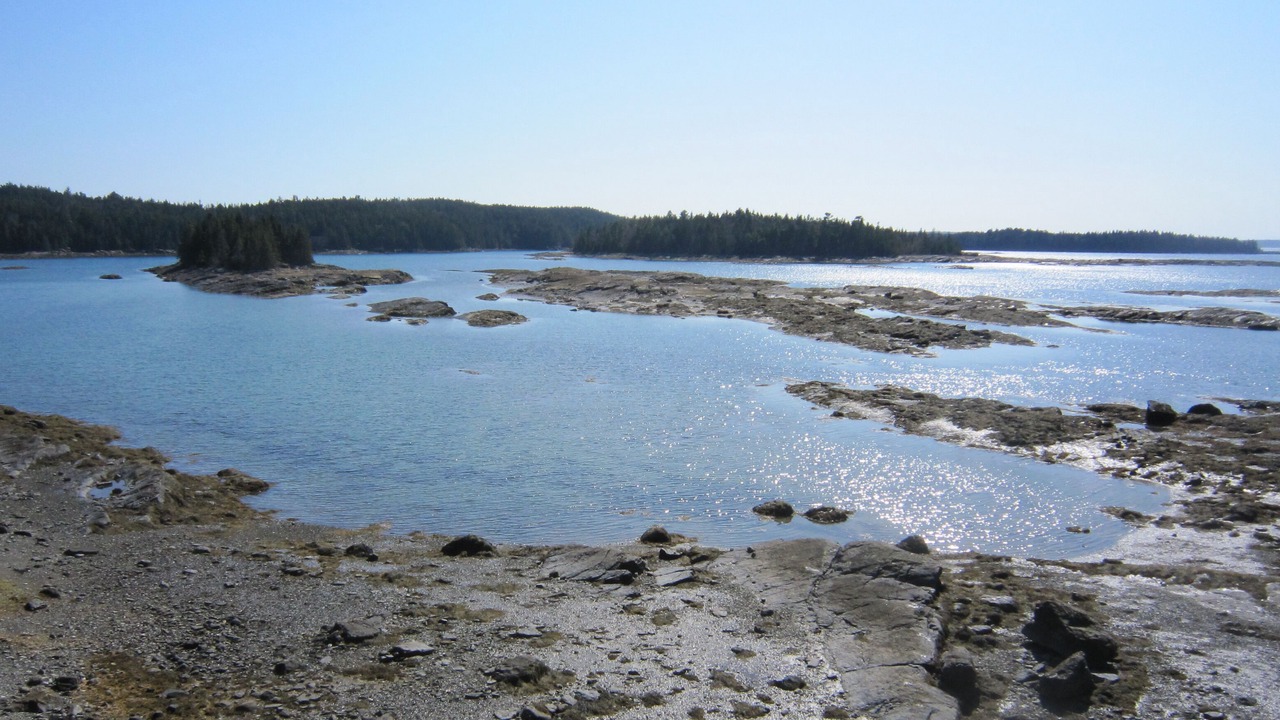 Photo of Others in Bar Harbor