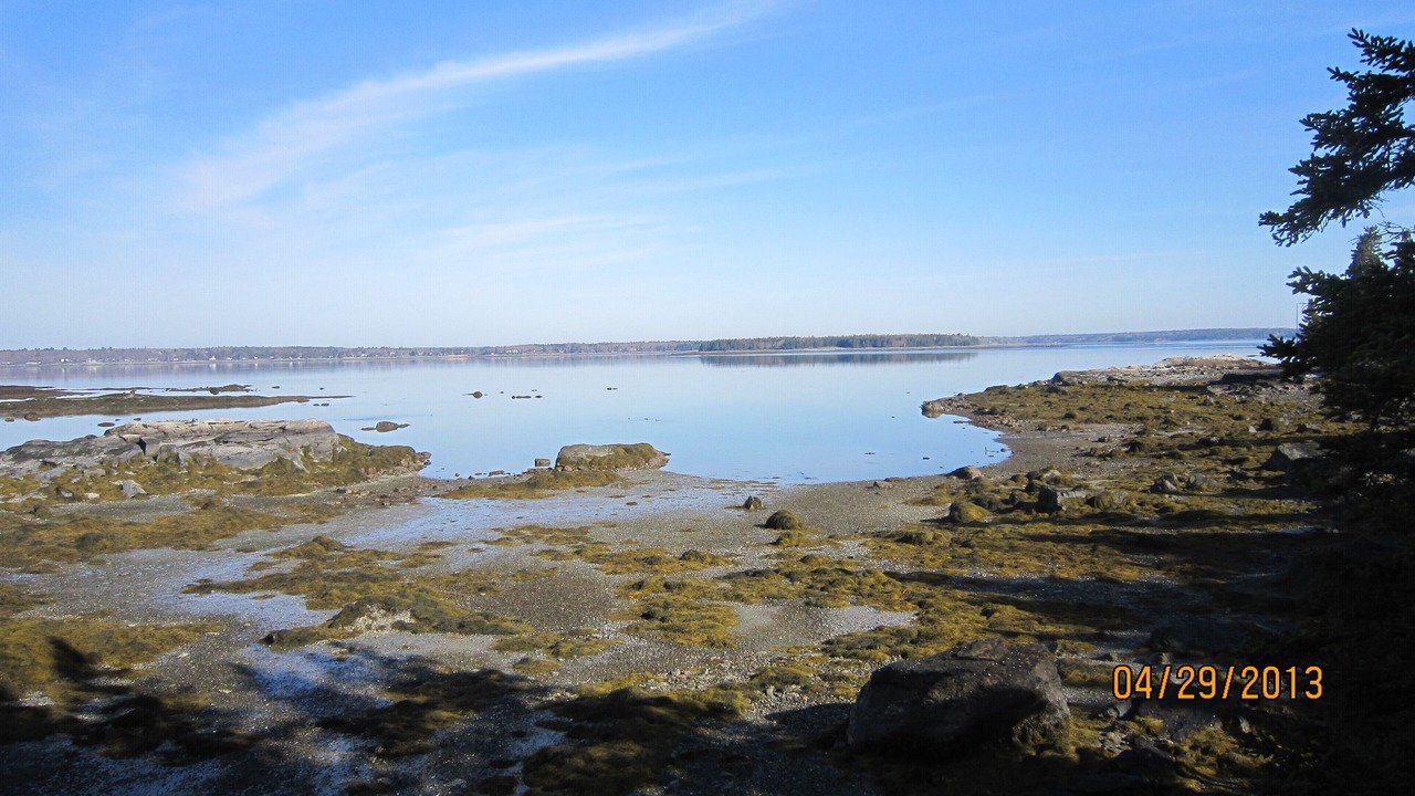 Photo of Others in Bar Harbor