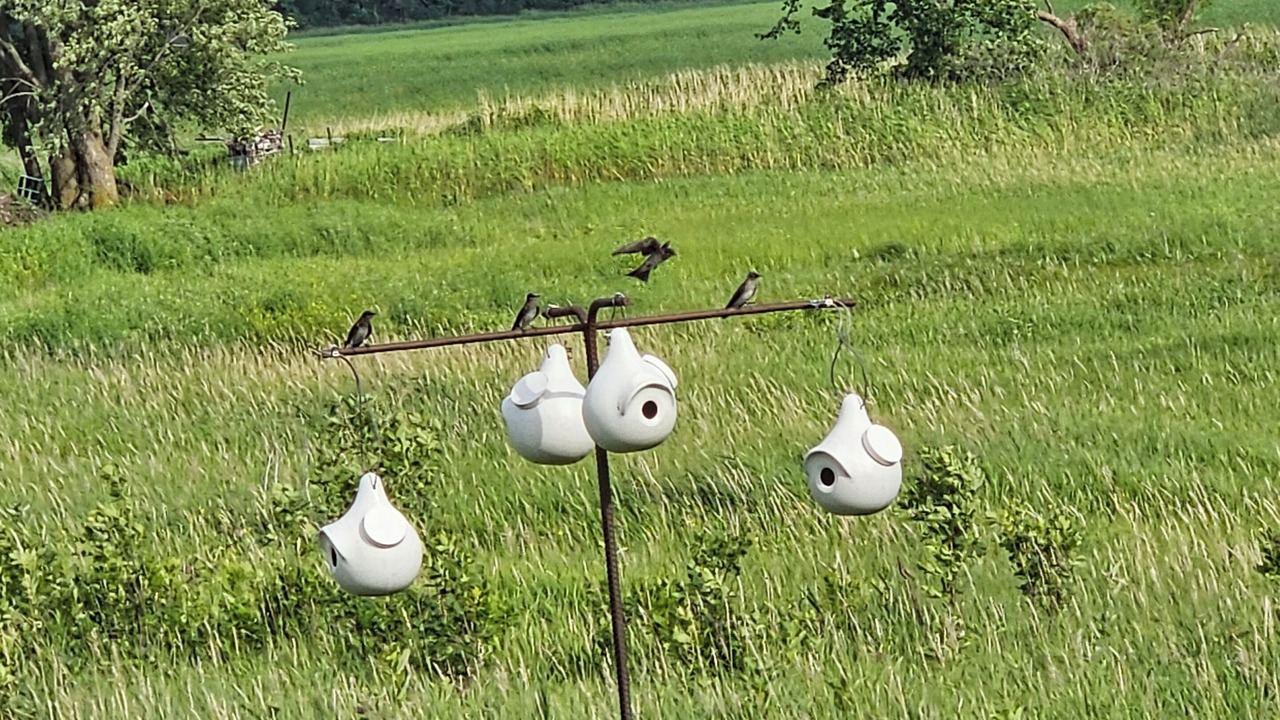 Photo of Outdoor in Clay County