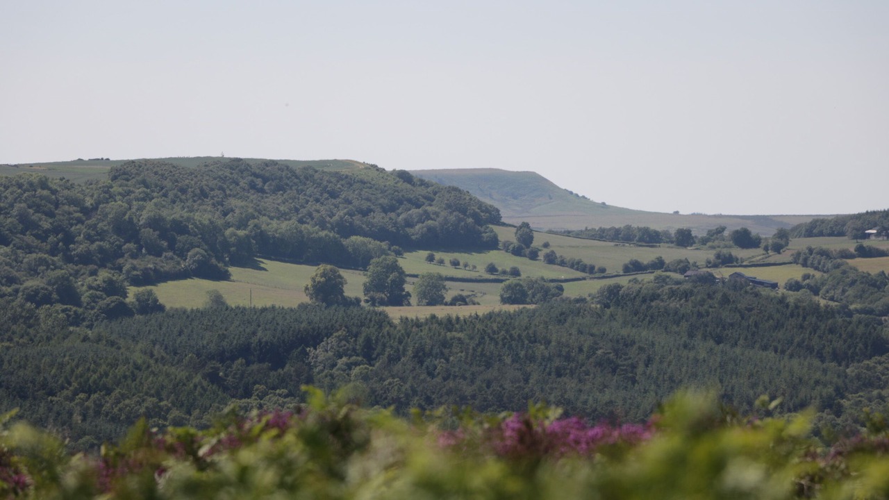 Photo of Outdoor in Ampleforth