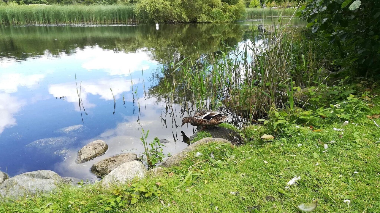 Photo of Others in Vaeggerlose