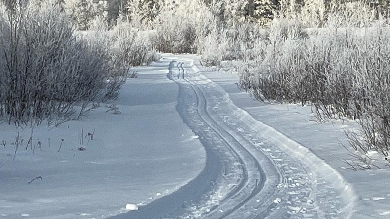 Photo of Outdoor in Marchand