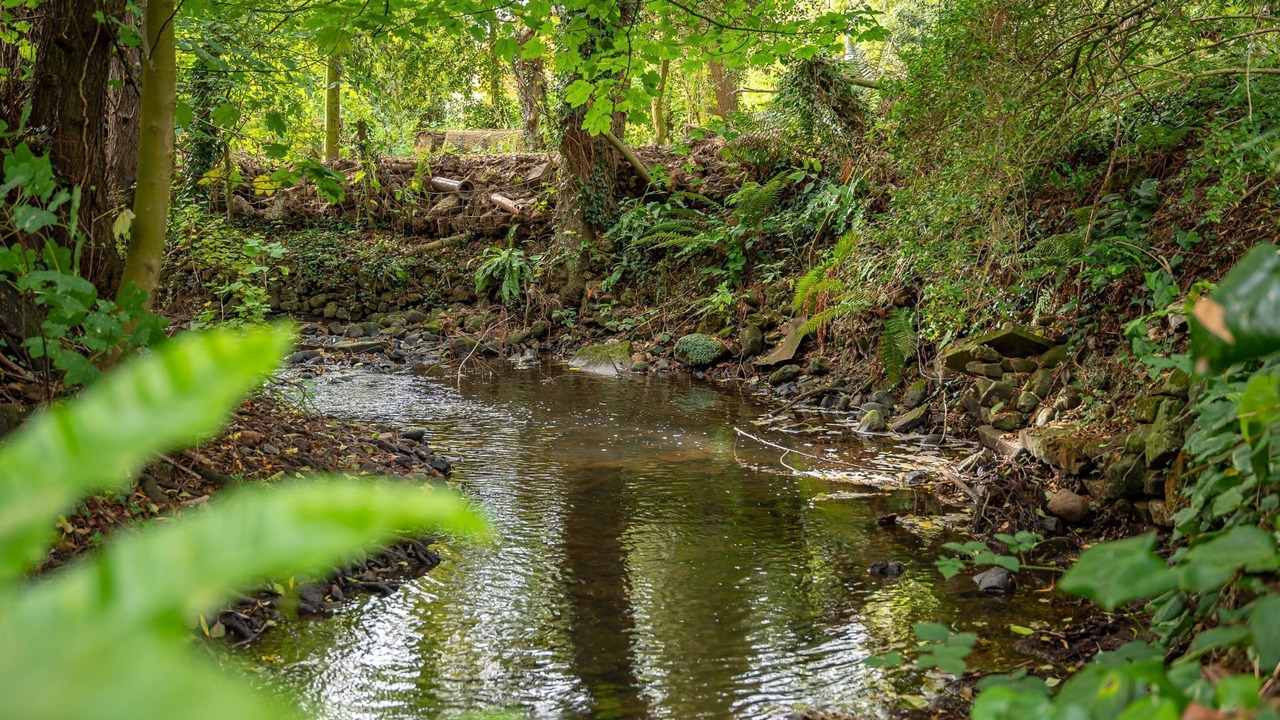 Photo of Others in Markington