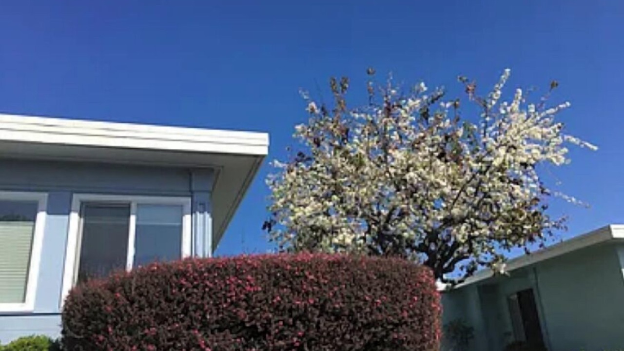 Photo of Outdoor in Oceana