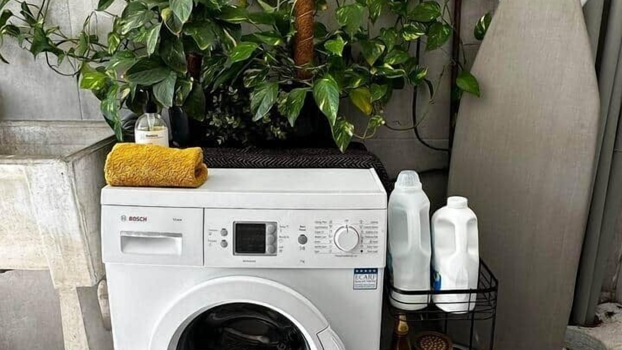 Photo of Others in The Gap