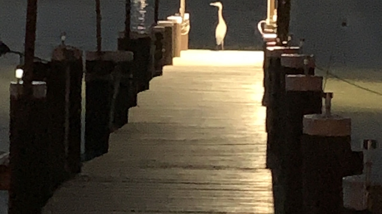 Photo of Outdoor in Edgewood