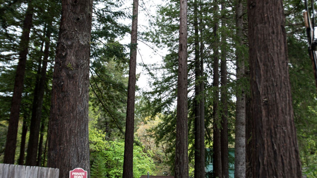 Photo of Outdoor in Myers Flat