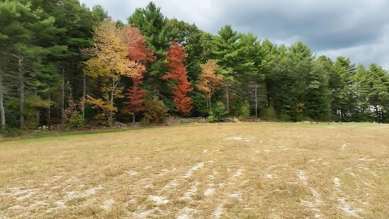 Photo of Others in Foxboro