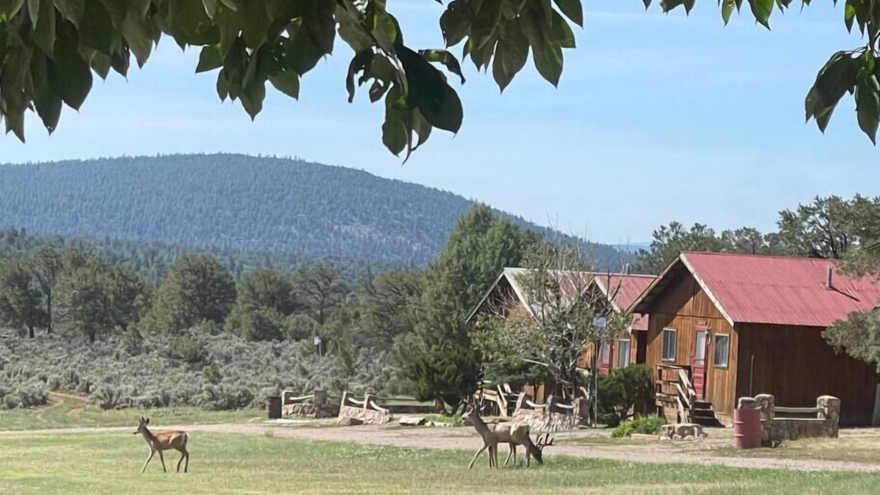 Photo of Others in Rutheron