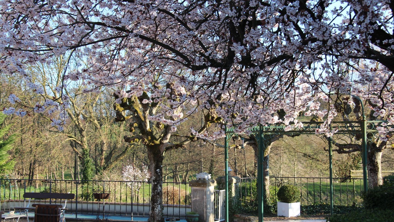 Photo of Outdoor in Saint-Jean-d'Asse