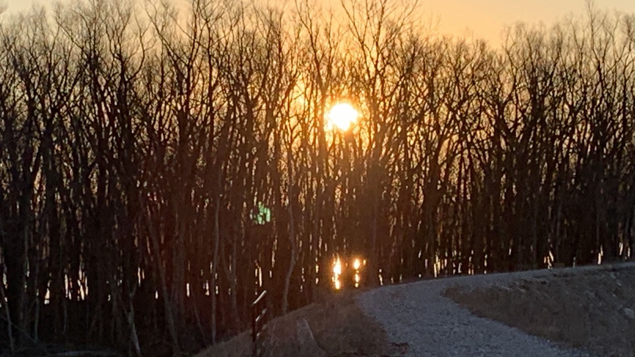 Photo of Outdoor in Lake Forest Estates