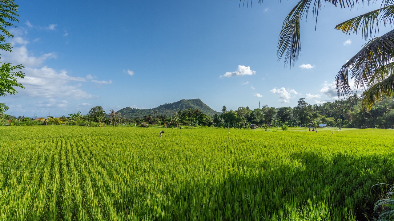 Photo of Bedroom in Candi Dasa