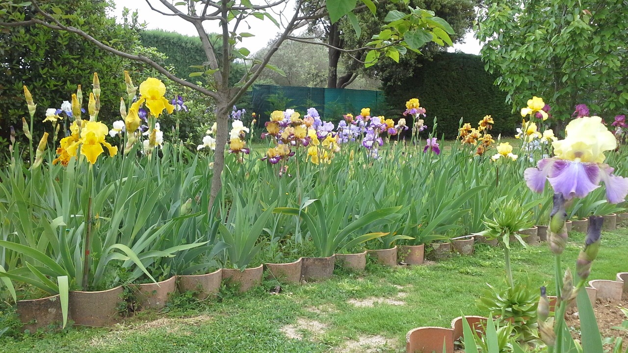 Photo of Outdoor in Flaux