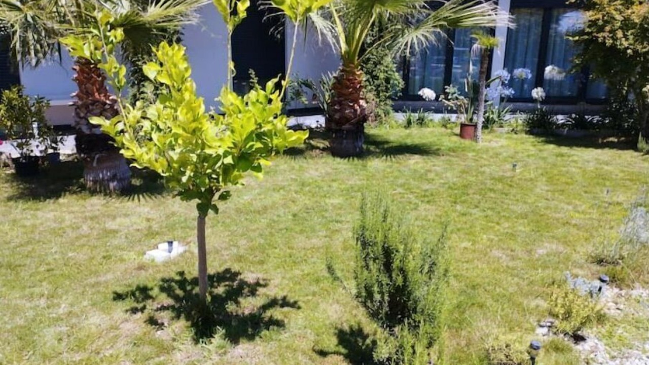 Photo of Outdoor in Sardan