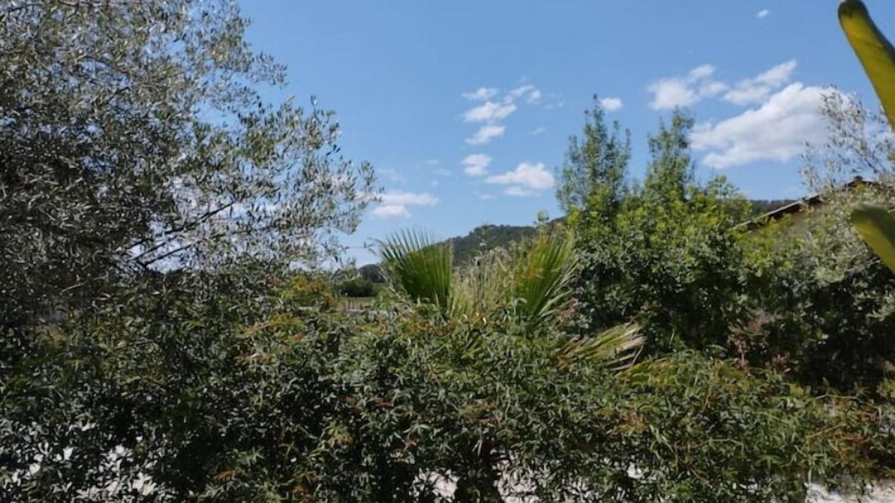 Photo of Outdoor in Sardan