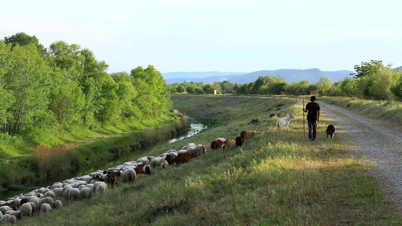 Photo of Others in Villeneuve-les-Avignon