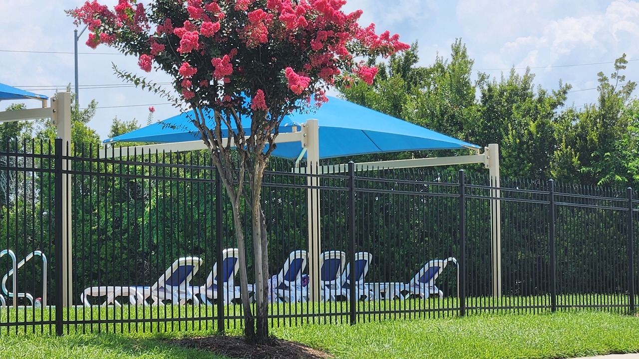 Photo of Outdoor in Katy