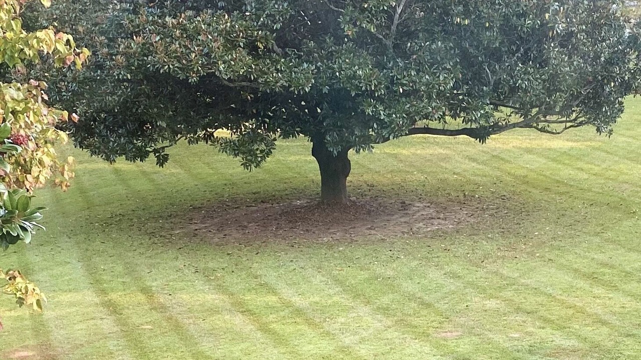 Photo of Others in Jonesboro