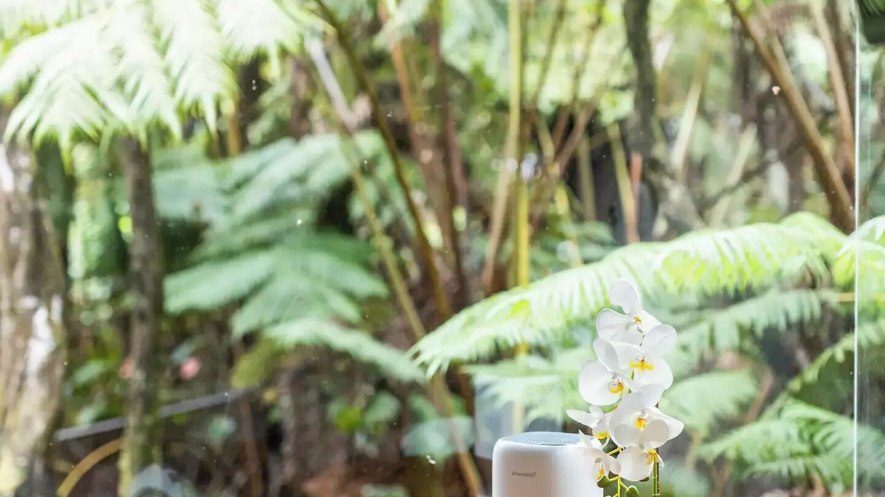 Photo of Others in Volcano