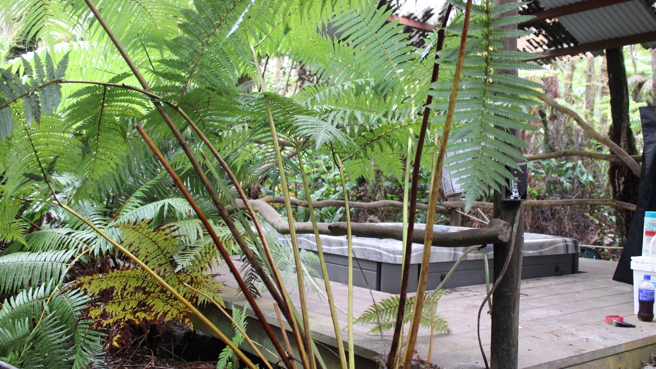 Photo of Outdoor in Volcano