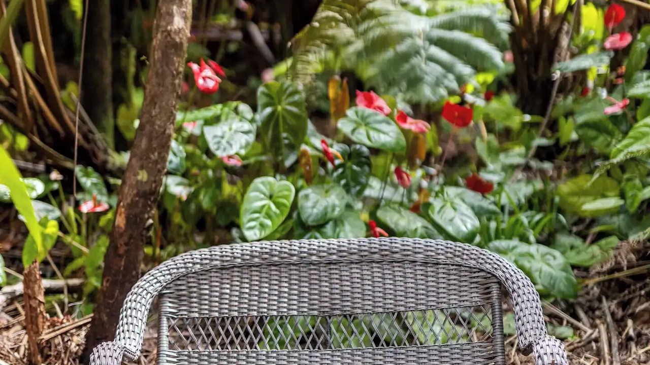 Photo of Outdoor in Volcano