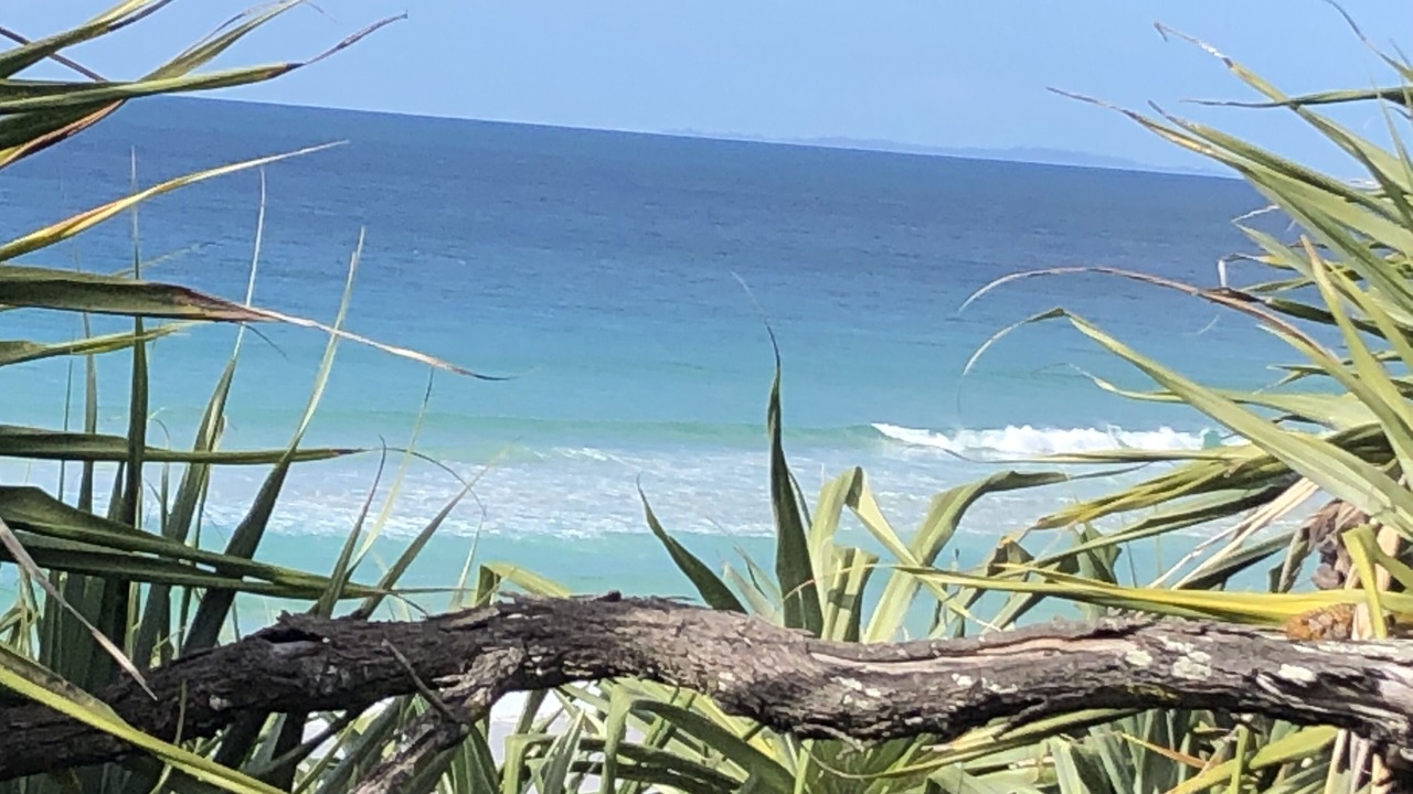 Photo of Others in Buddina