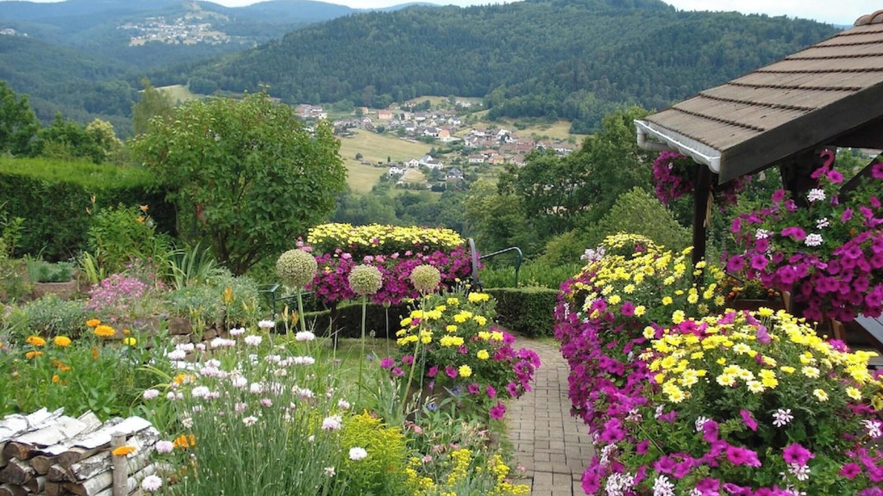 Photo of Others in Haselbourg