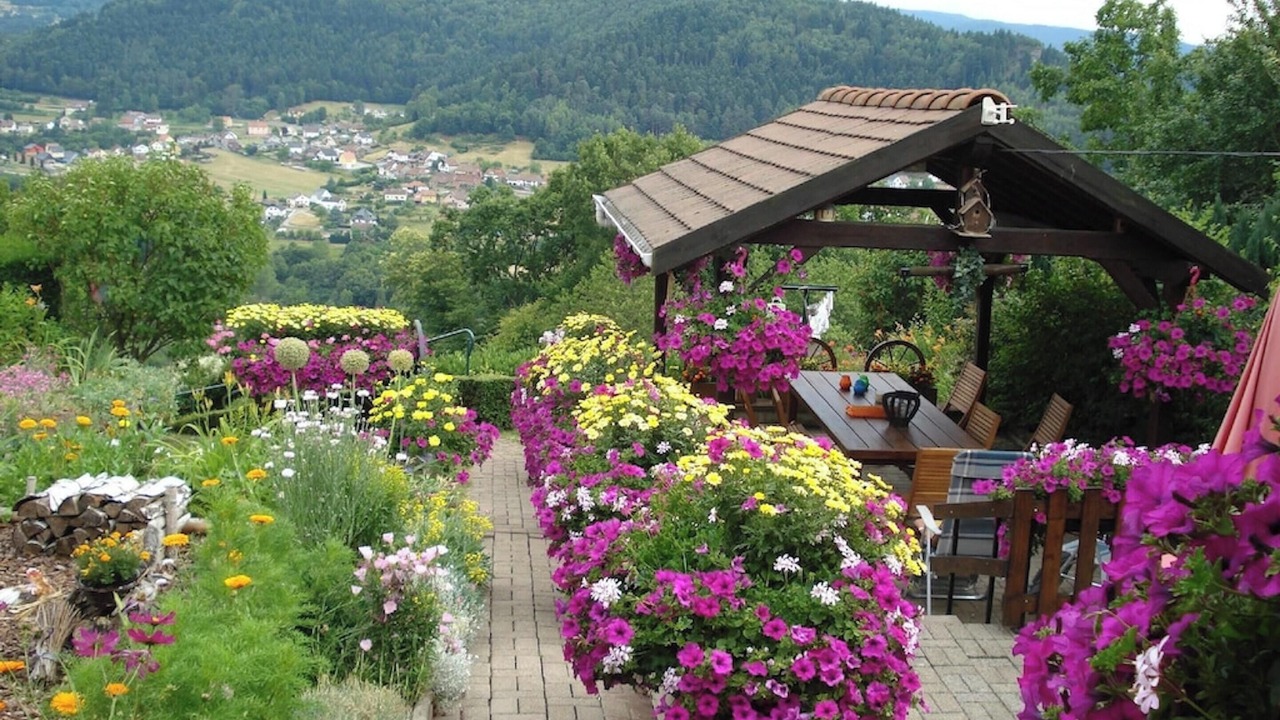 Photo of Others in Haselbourg