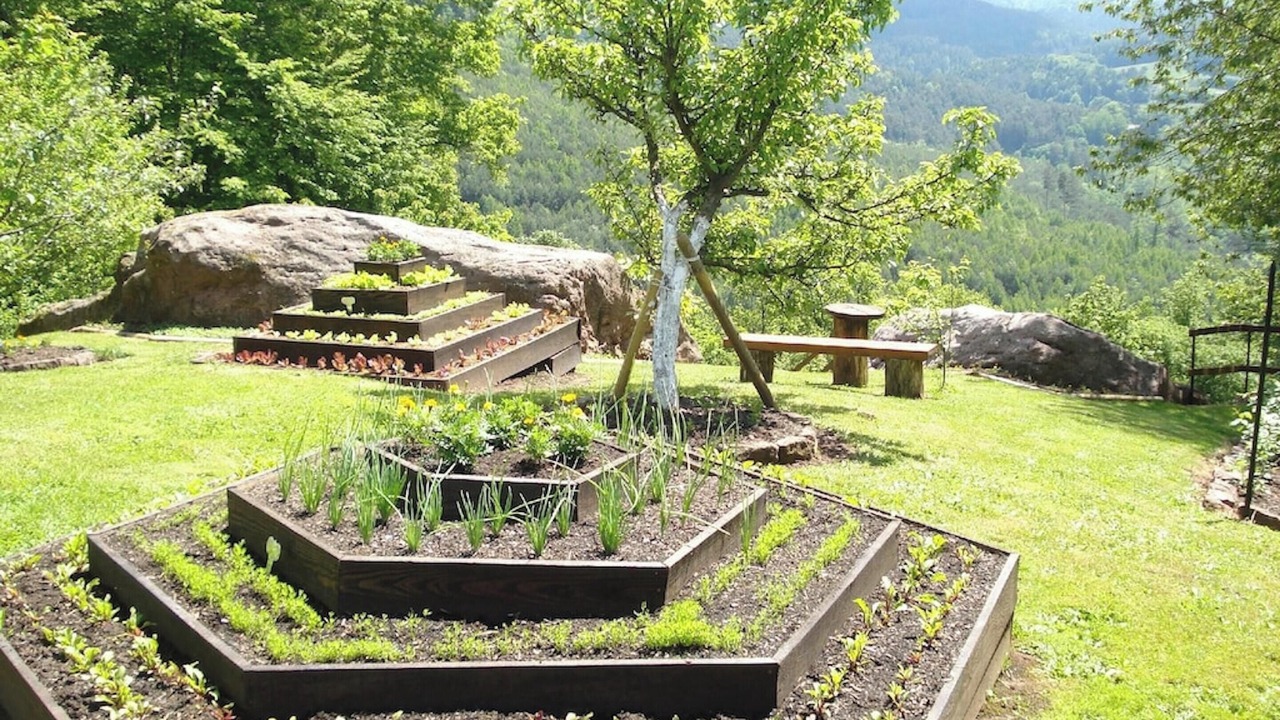 Photo of Outdoor in Haselbourg