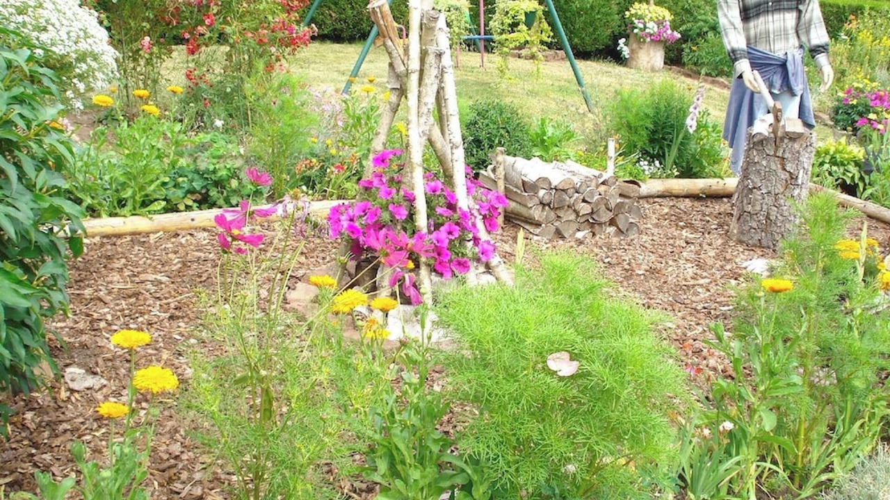 Photo of Outdoor in Haselbourg