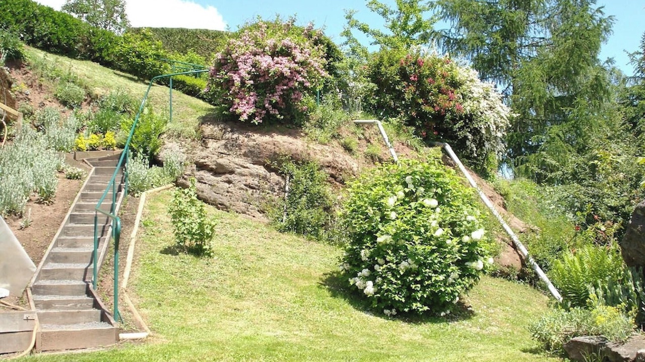 Photo of Outdoor in Haselbourg