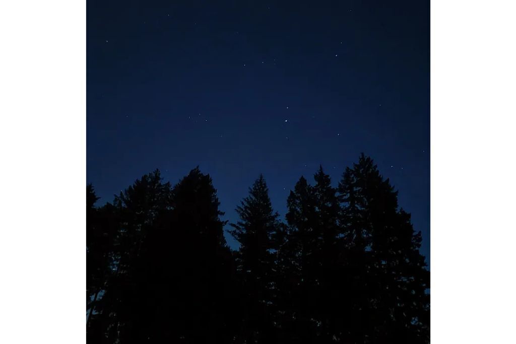 Photo of Others in Grapeview