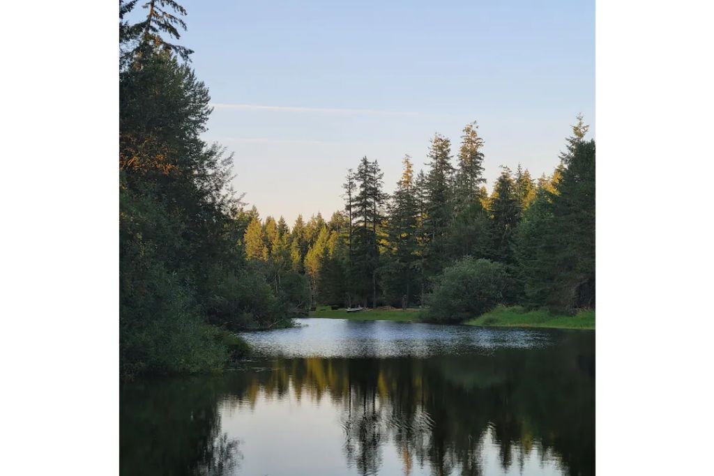 Photo of Outdoor in Grapeview