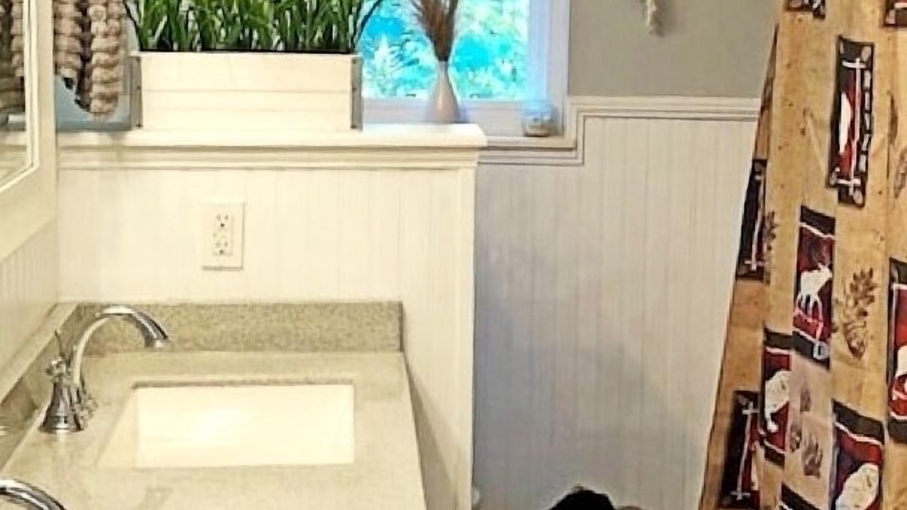 Photo of Bathroom in Sevierville