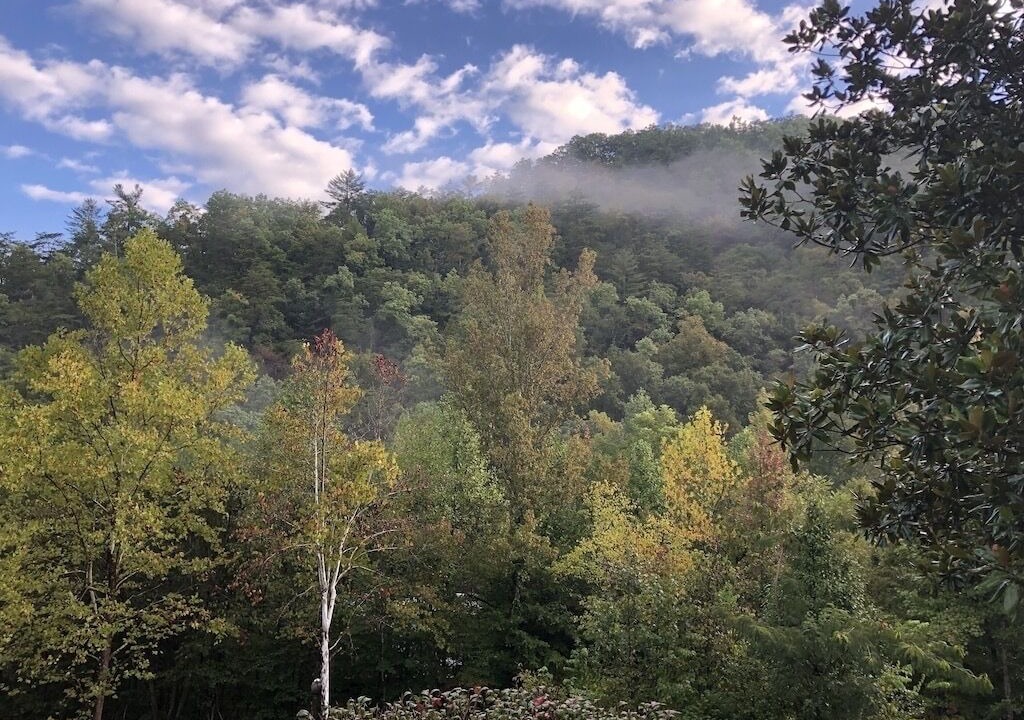 Photo of Outdoor in Sevierville