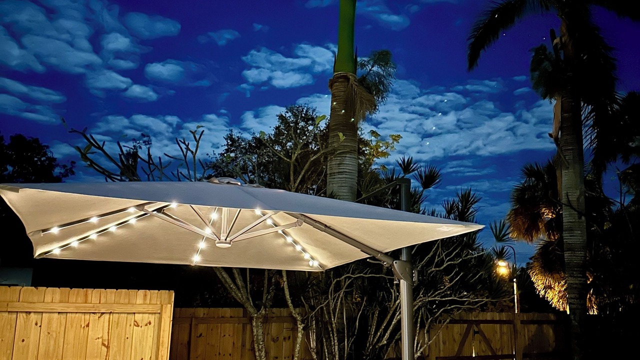 Photo of Outdoor in Sarasota
