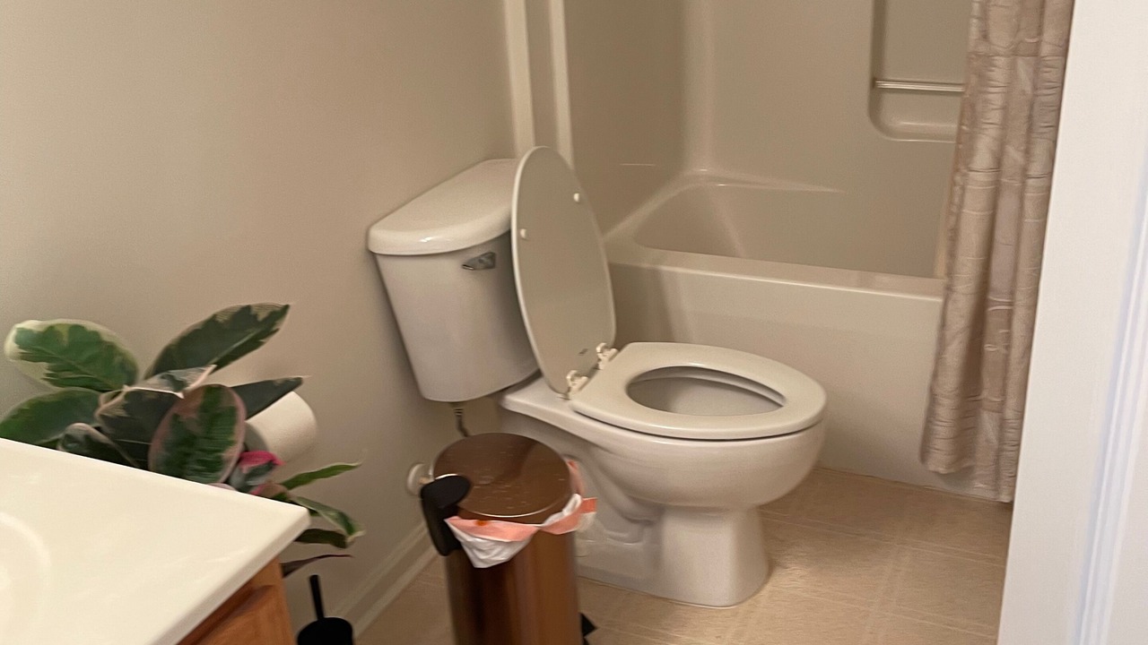 Photo of Bathroom in Delmar