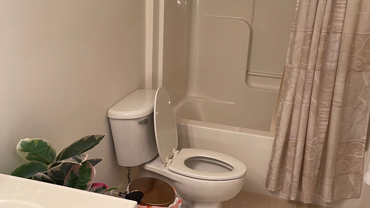 Photo of Bathroom in Delmar