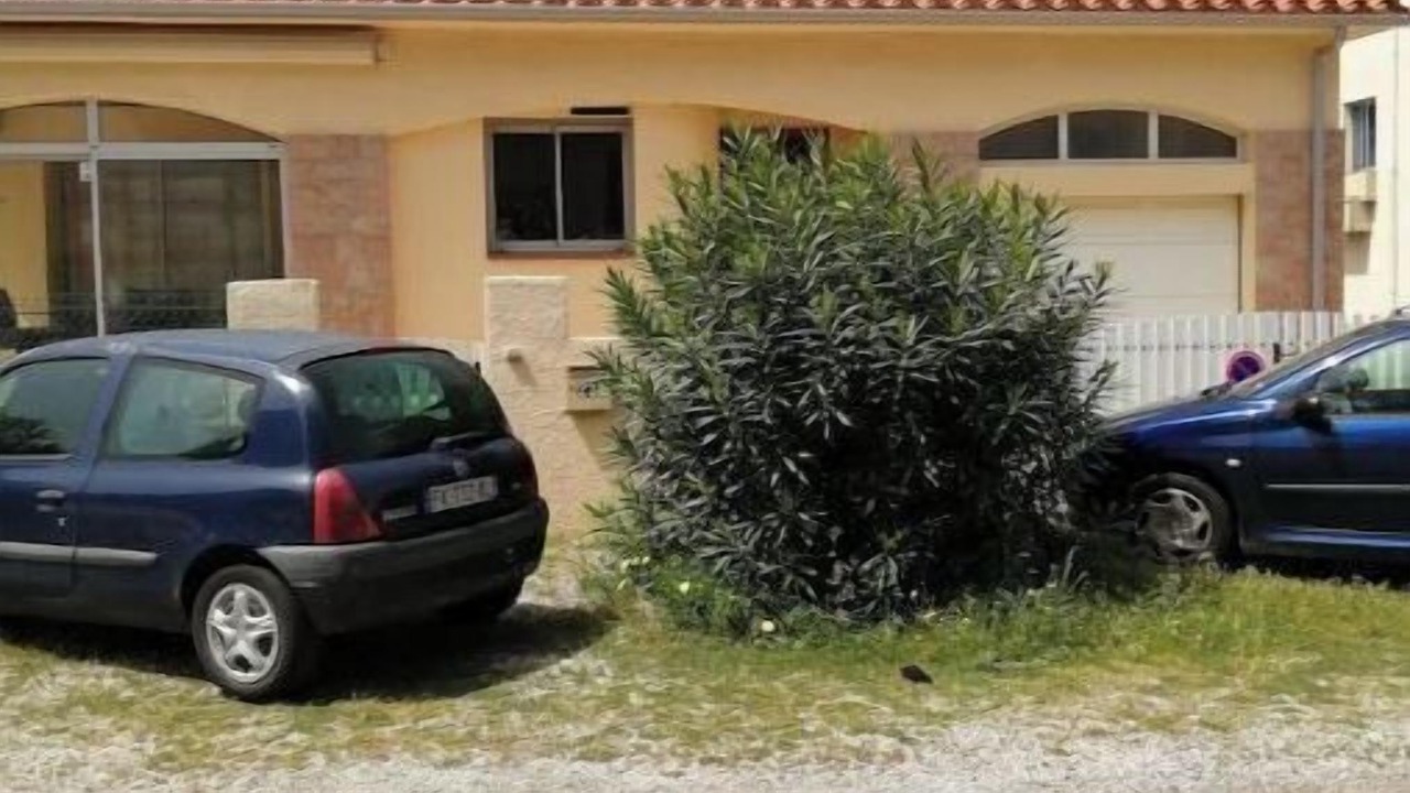 Photo of Outdoor in Argeles Plage