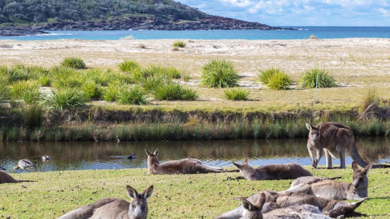 Photo of Others in Kioloa