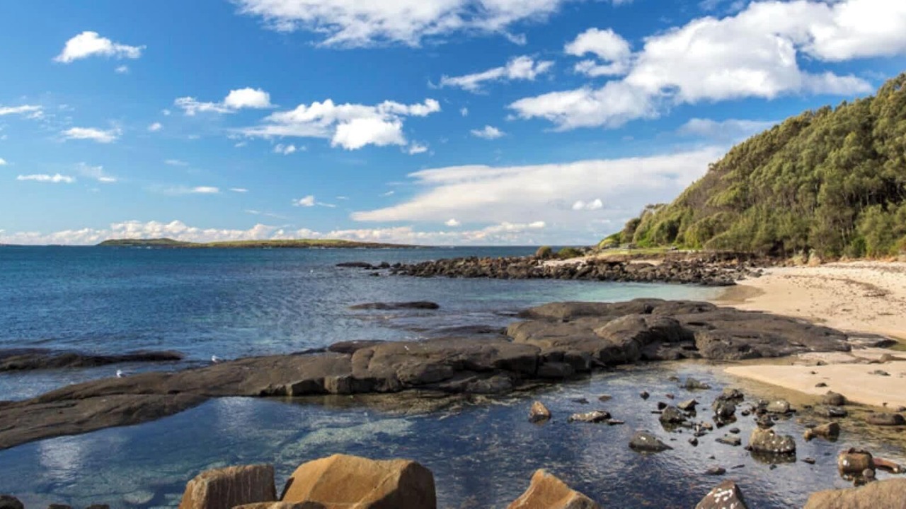 Photo of Others in Kioloa