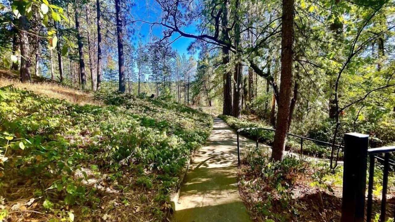 Photo of Outdoor in Apple Hill