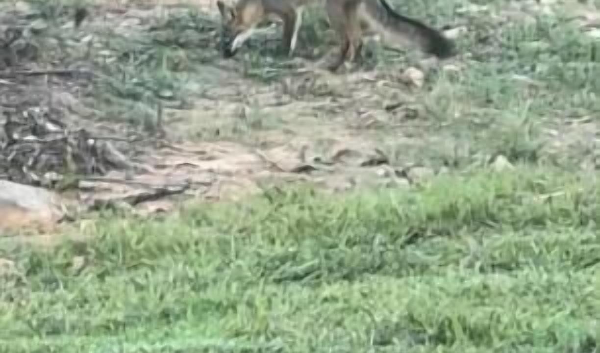 Photo of Others in Tuskahoma