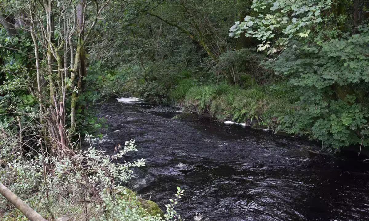 Photo of Others in Llanfair Caereinion
