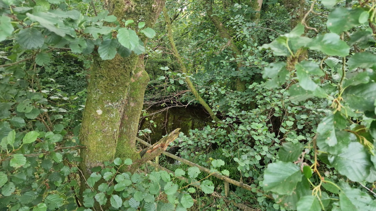 Photo of Others in Llanfair Caereinion