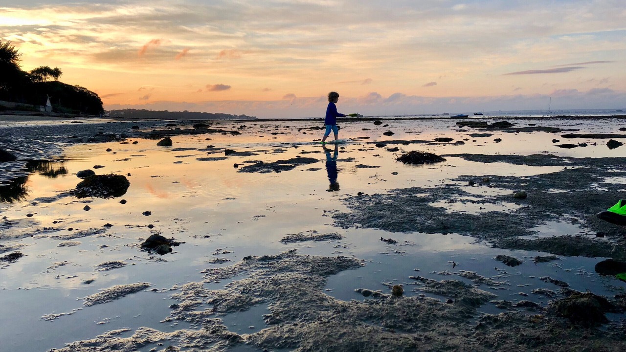 Photo of Others in Ryde