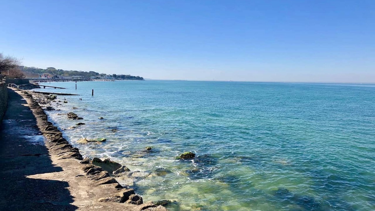 Photo of Others in Ryde