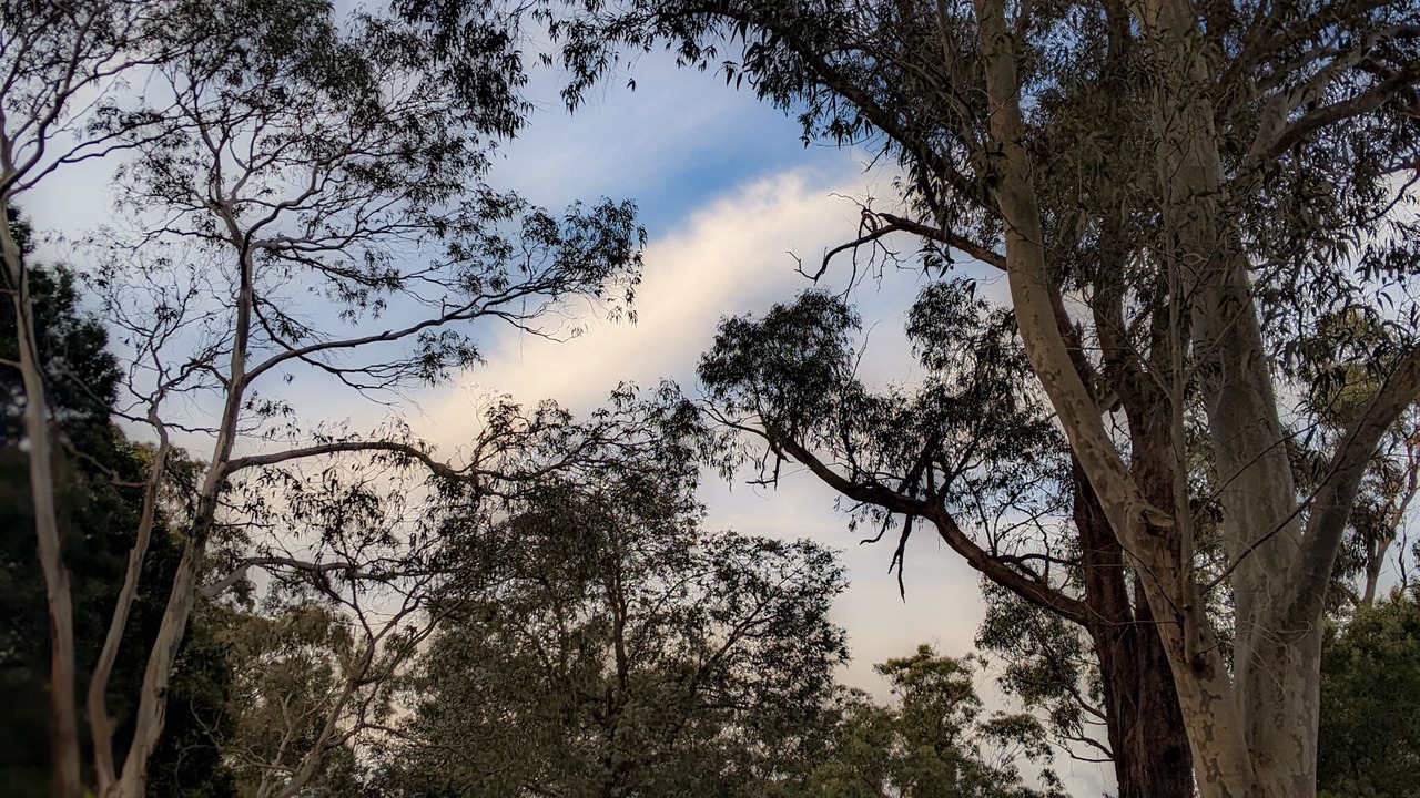 Photo of Outdoor in Cockatoo