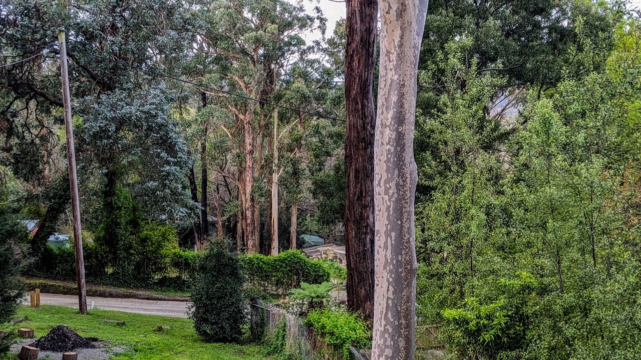 Photo of Outdoor in Cockatoo